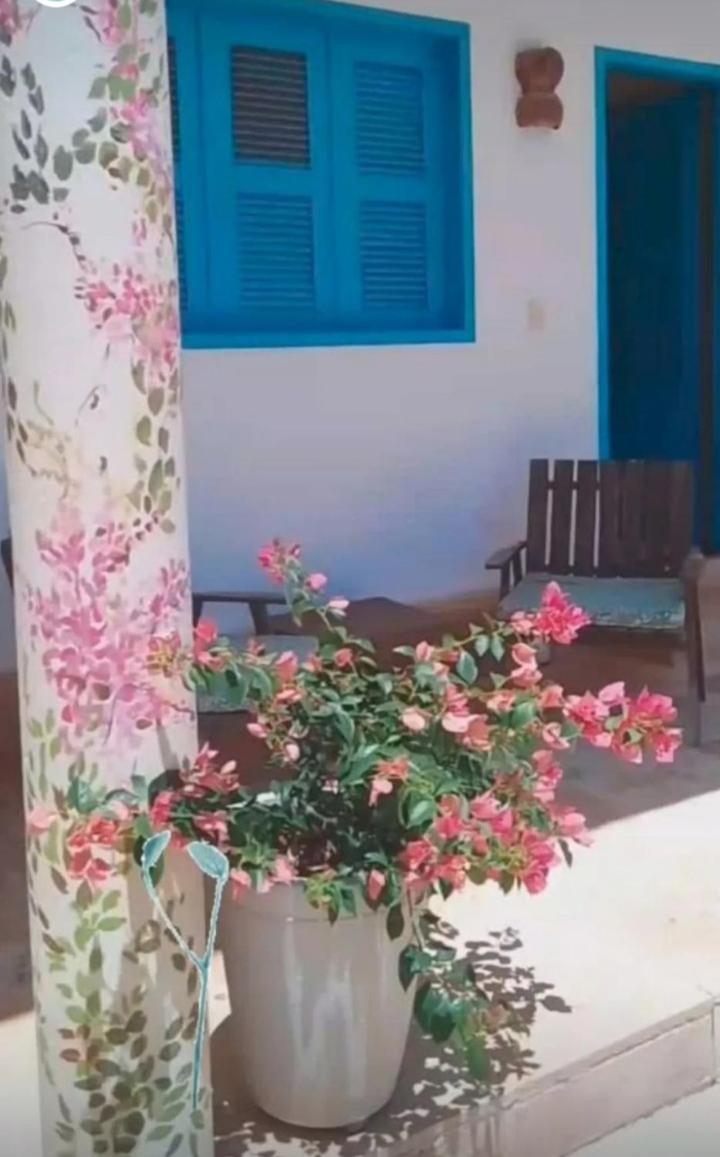 Recidencial Vila Pura Vida Canoa Quebrada Bagian luar foto